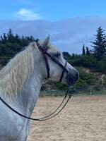 Bienvenue aux Enganes